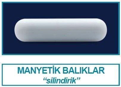 Manyetik Balık 40 MM - (1 Adet)