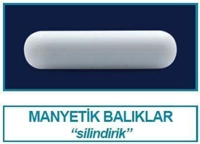 Manyetik Balık 60 MM - (1 Adet)